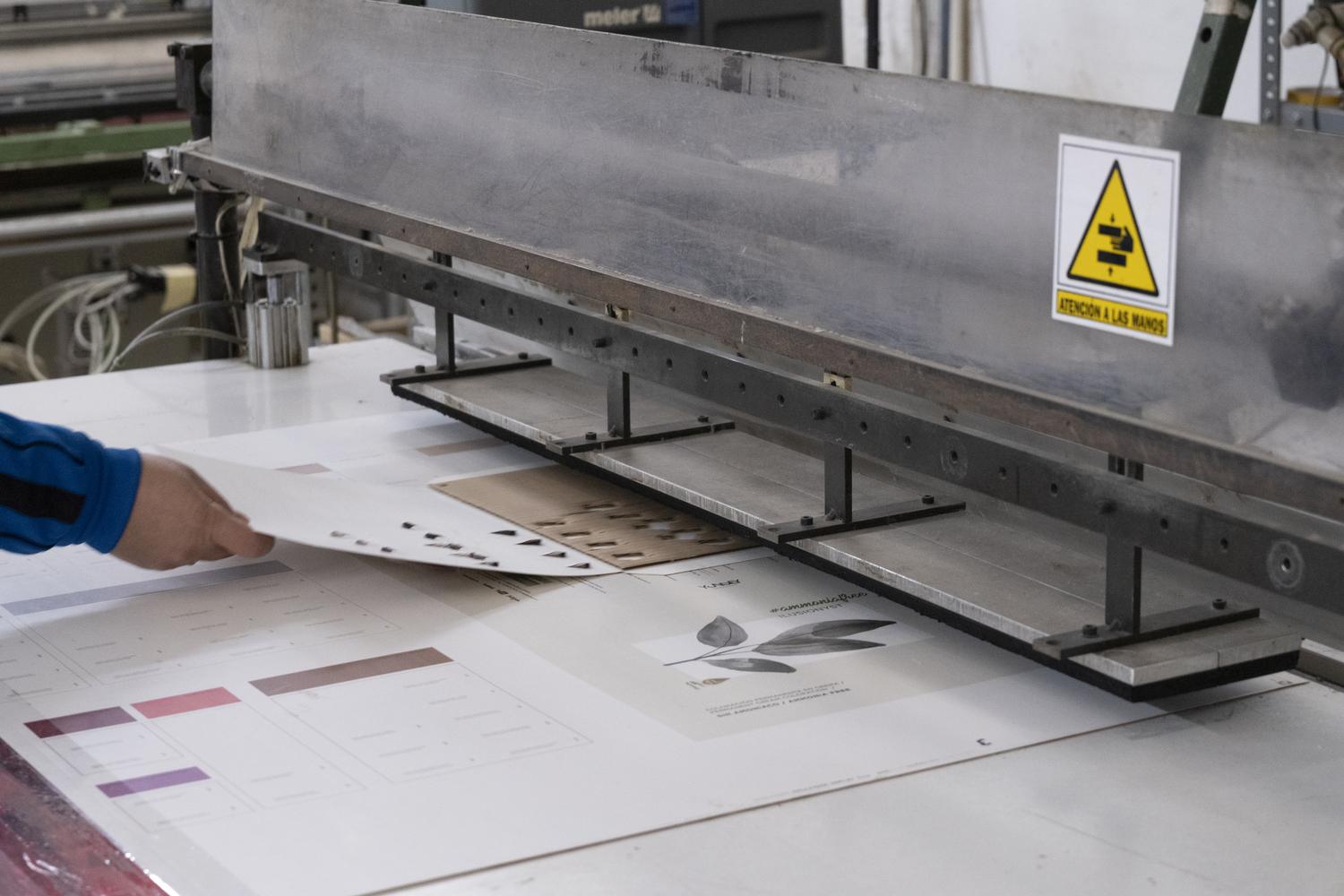 Media 6 Romania picture